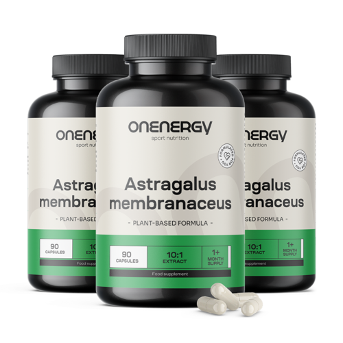 3x Astragalus – ekstrakt 10:1, ukupno 270 kapsula